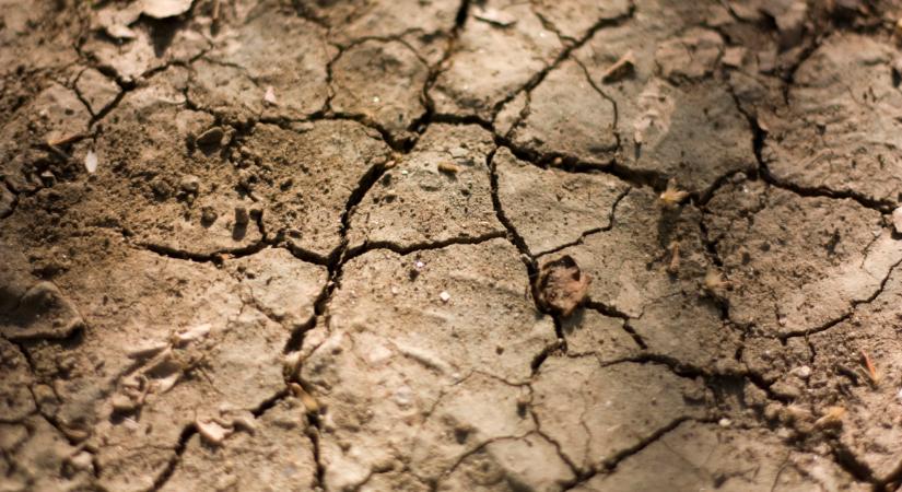 Akkora a baj itthon, hogy már a szakértők is a legrosszabbtól tartanak - Agrárszektor