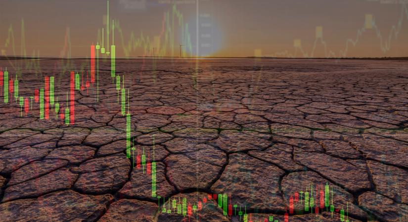 Az aszály elviheti az idei GDP-növekedést is - Agrárszektor