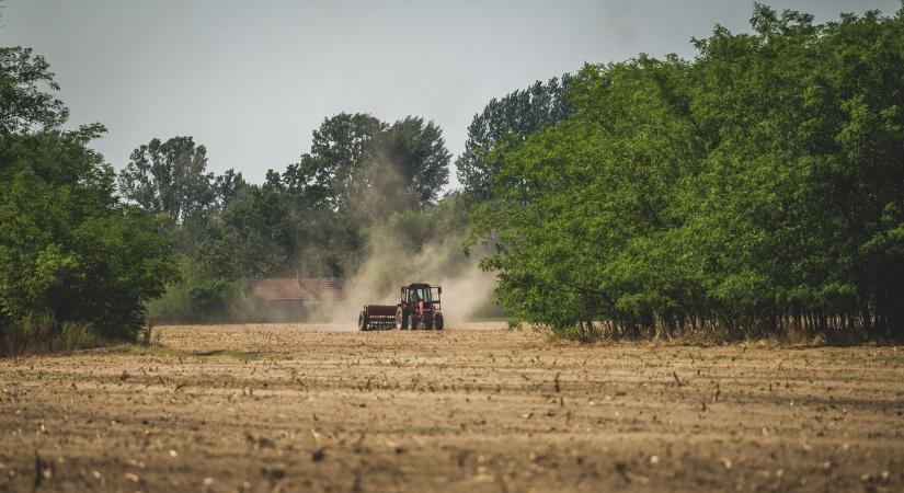Dollármilliárdokat veszít a világgazdaság a hőség miatt - VG