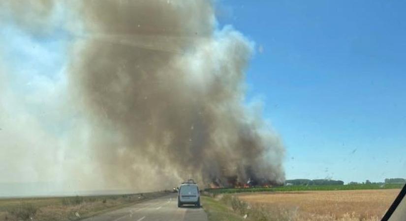Pillanatok alatt a lángok martaléka lett a termény a hajdú-bihari szántón – videóval - Haon