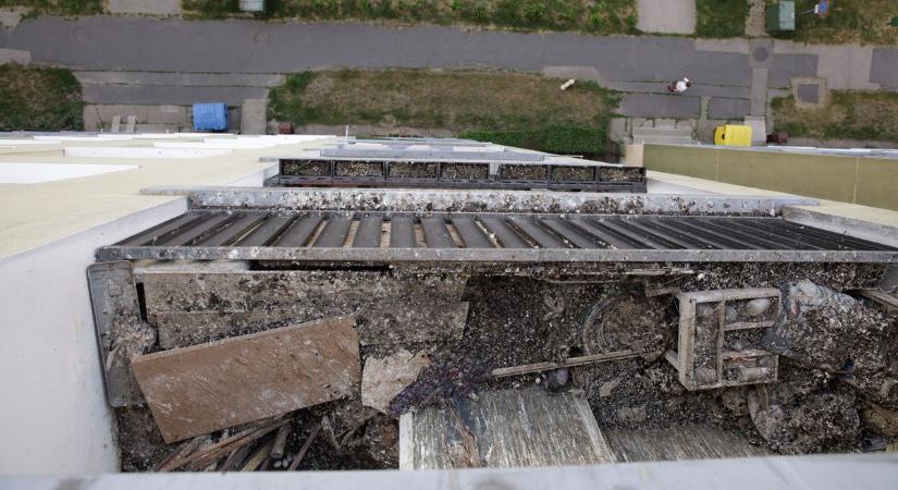 5 millió forintért vállalná a takarítócég a pokoli állapotú fehérvári panel kitakarítását - Feol