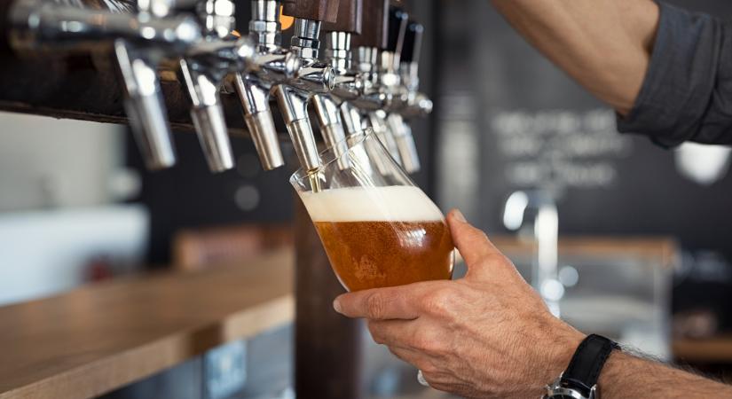 Felfedeztek egy titkos agyi „kapcsolót”, ami megóv a mértéktelen alkoholizálástól - Index - Tudomány