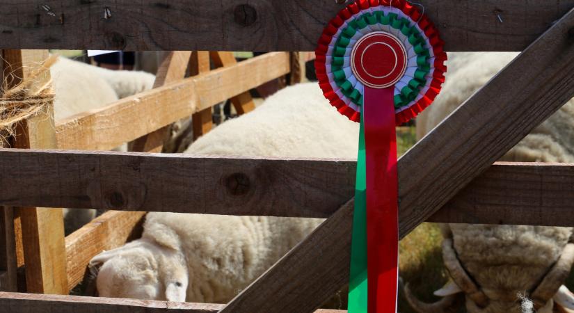Megszületett a döntés: ez az agráresemény egyedülálló lesz idén - Agrárszektor