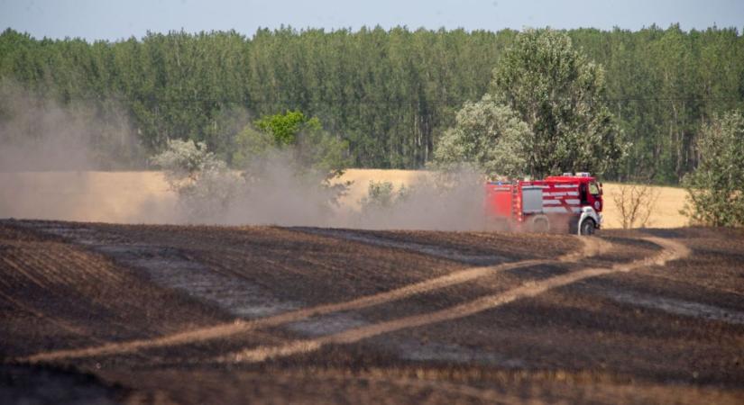 Lángok és füstfelhők borították be a dél-alföldi régiót, ijesztő mértékű a pusztítás - BAON