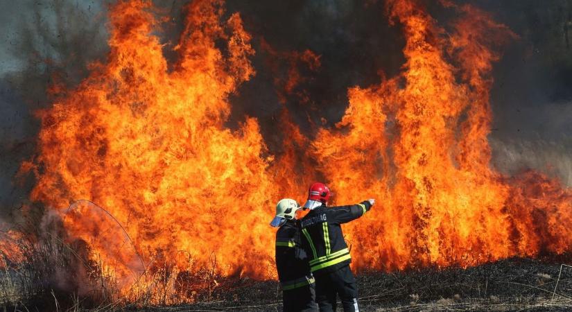 Nagy a baj! Lakóházakat veszélyeztet a tűz a hajdú-bihari településen - Haon