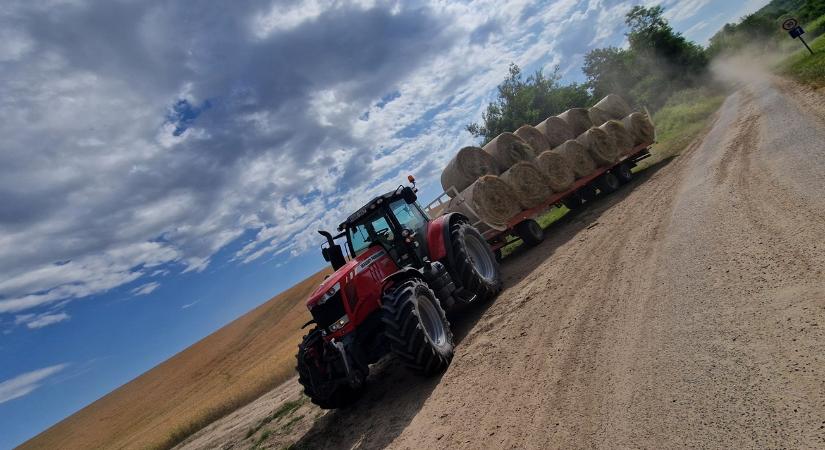 Kínzó hőséggel indul, zivataros lehűléssel zárul a hétvége - Agroinform