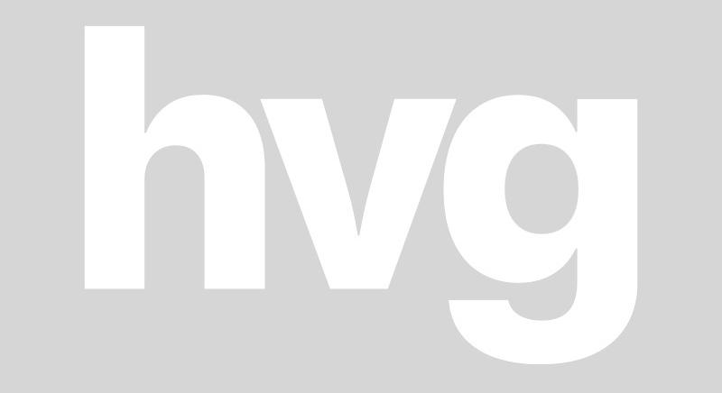 Gergely Márton: Háború és vége? - HVG - Itthon