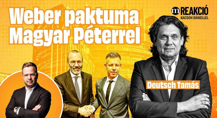 Deutsch Tamás: Magyar Péter paktumot kötött Weberrel, Ukrajna gyorsított uniós csatlakozásáról is megállapodtak (VIDEÓ) - Mandiner