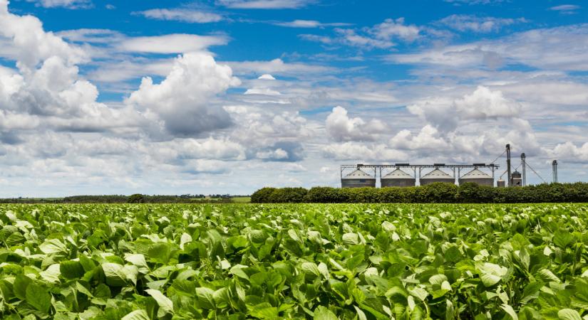 Áll a bál: egy kiskapu miatt került veszélybe a 16 éves egyezmény - Agrárszektor
