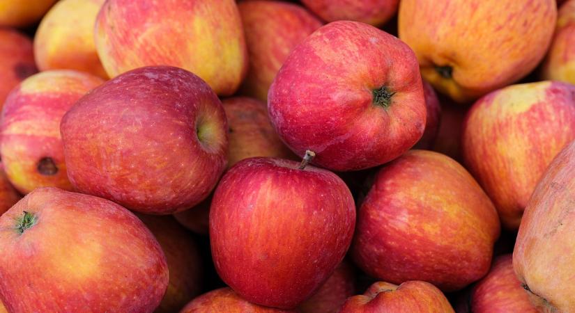 Az egész világon stabil az alma iránti kereslet - Agrotrend