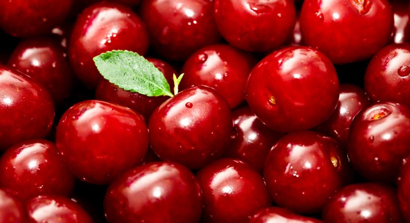 Mégis, mi folyik itt? Luxussá válhat a magyarok egyik kedvenc gyümölcse - Agrárszektor