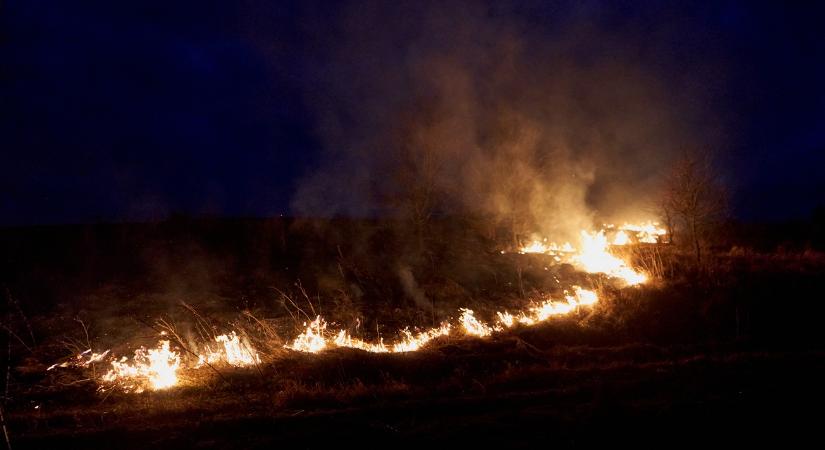 Emberfeletti küzdelem: így mentettek meg egy sertéstelepet a lángoktól - Agroinform