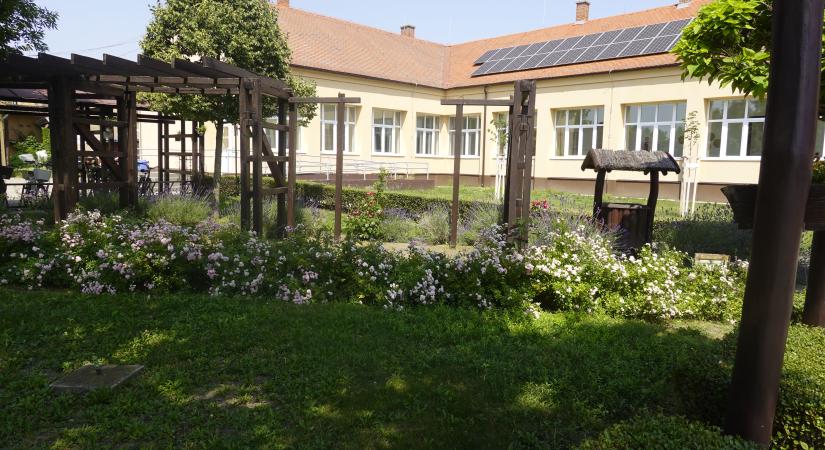 Sűrű szövésű háló védi a biharnagybajomiakat - Civishír