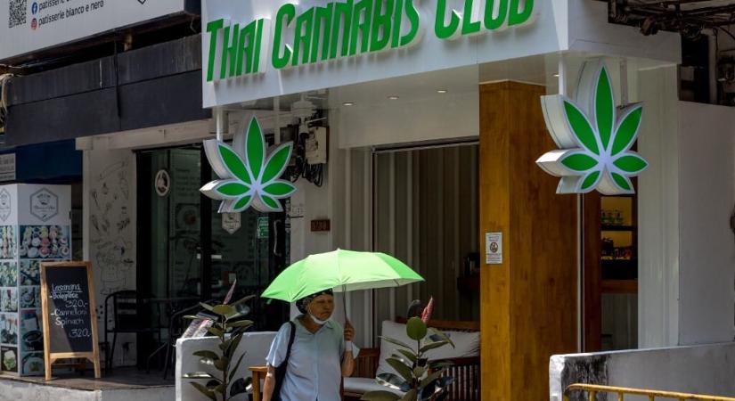 Megint illegális lesz a kannabisz Thaiföldön - HVG - Világ