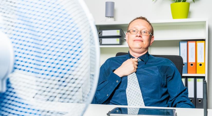 Ön bement dolgozni az év eddigi legmelegebb napján? Szavazzon! - Blikk - Kvíz