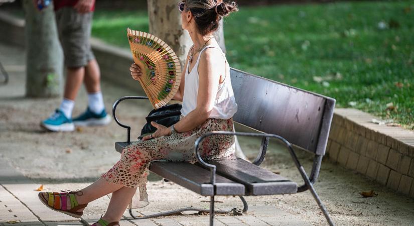 Ezért nem élnénk túl a 35 Celsius-fokos hőséget, ha esne az eső - Nlc