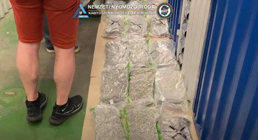 Így ünnepelték a rendőrök a kábítószer ellenes világnapot – elfogtak egy férfit, akinél 70 millió forint értékű marihuána volt - vasarnap.hu