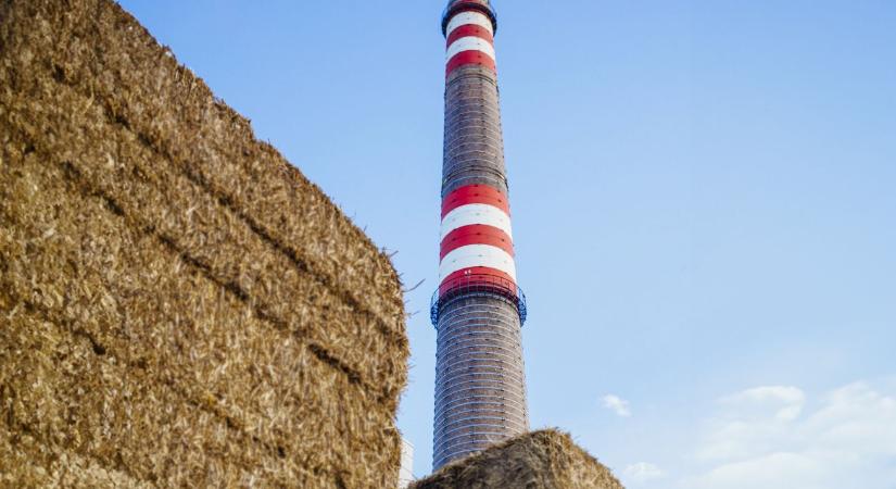 Kiszámítható profit és talajjavítás egyszerre – ne hagyja ki ezt a lehetőséget! - Agroinform