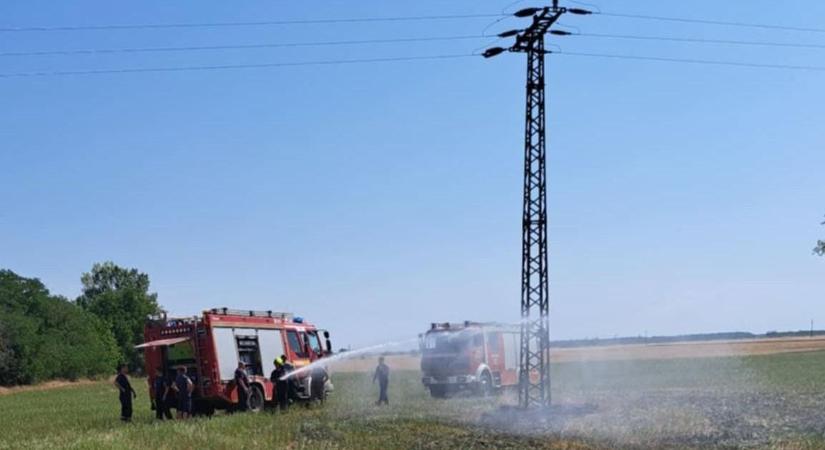 Tűz Kenyerinél - Az állattartóteleptől nem messze kapott lángra a tarló - Vaol