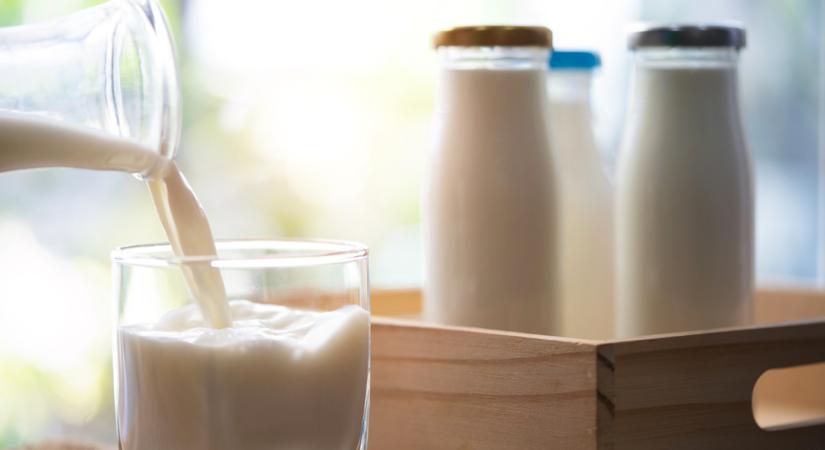 Rendezi sorait az Alföldi Tej? Csökken a veszteség - Agrárszektor