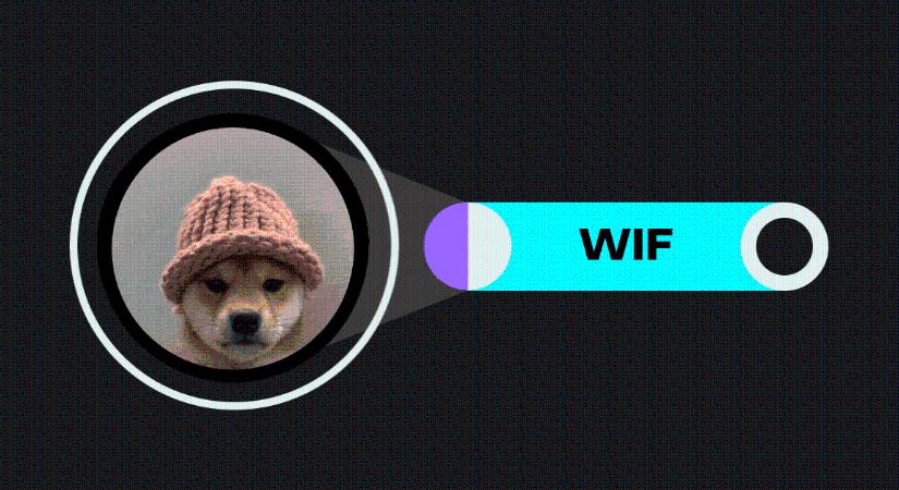 A Dogwifhat (WIF) 24%-ot ugrott, miközben a Bitcoin áttörte a 107 000 dollárt - Kriptomagazin