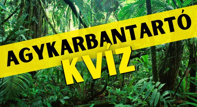 Napi agykarbantartó: Fejleszd az elméd! - Keresztlabda