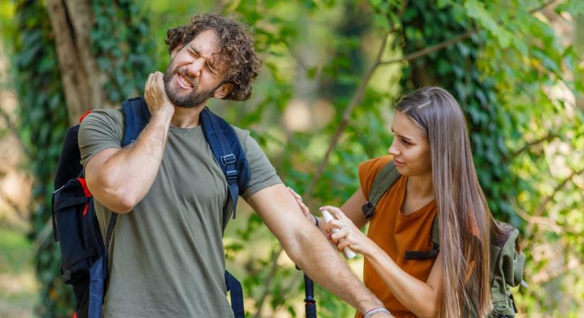 Szúnyoginvázió: van megoldás, így tarthatjuk távol a vérszívókat - Teol