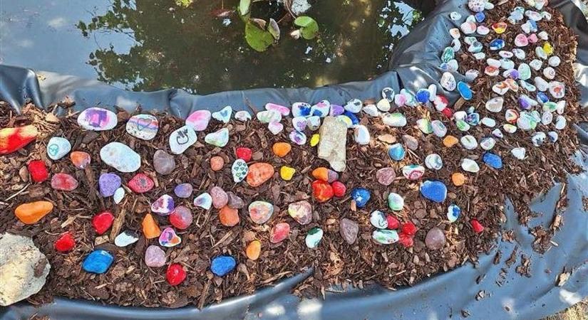Ezért akar mindenki pécsi lenni! Miénk a legkülönlegesebb mentőállomás - Bama