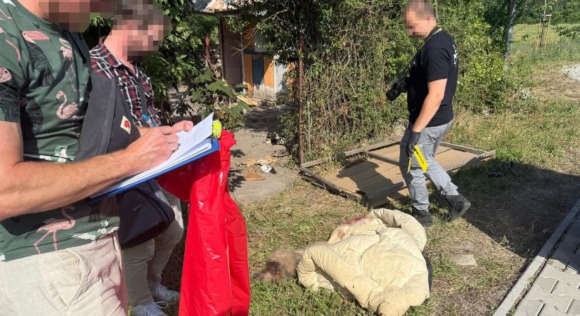 Háromhónapos kölyökkutyát vert halálra egy férfi Dunaszerdahelyen - Új Szó