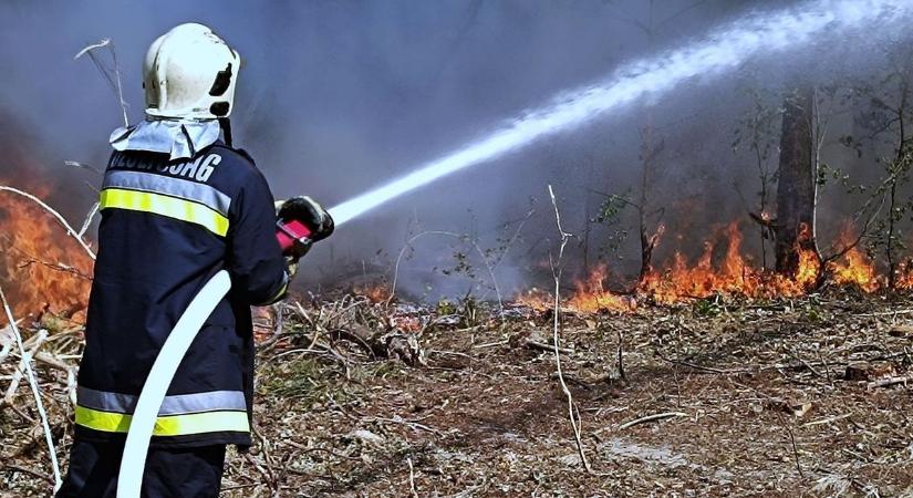 Újabb hatalmas tűz pusztít Bács-Kiskunban, önkéntesek és hivatásos tűzoltók is harcolnak a lángokkal - BAON