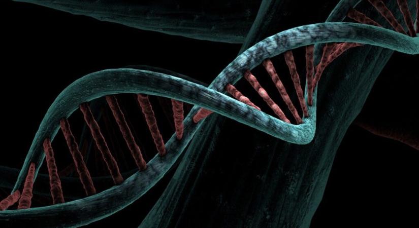 Áttörés a biotechnikában: A tudósok létrehozták a mesterséges genomot - Szabad Magyar Szó