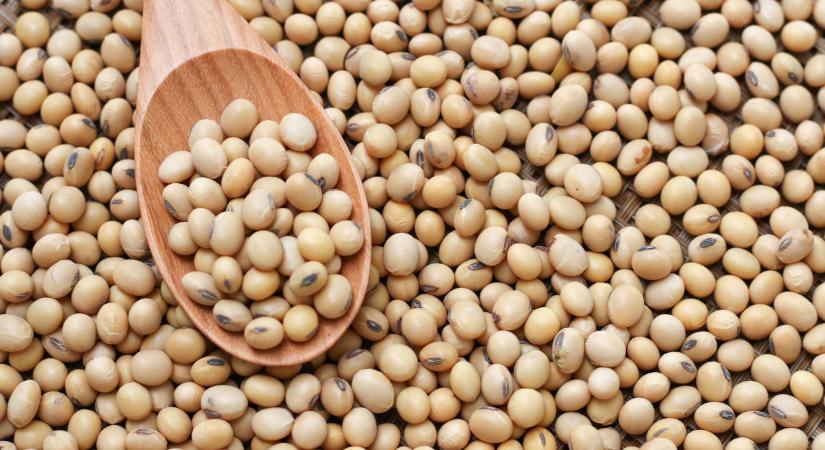 Jön az egyik legfontosabb éves felmérés: nagy meglepetések lehetnek - Agrárszektor