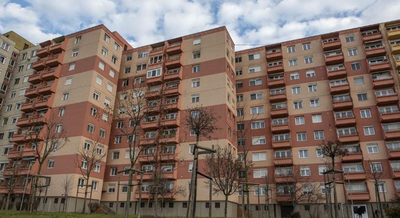 Rossz hír a társasházaknak, a jövőben sokkal több feladatuk lesz a zöld területek gondozásával - BAON