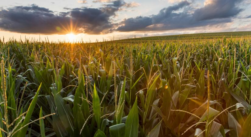 Megjelent az Agro Napló friss száma: erről nem érdemes lemaradni - Agrárszektor