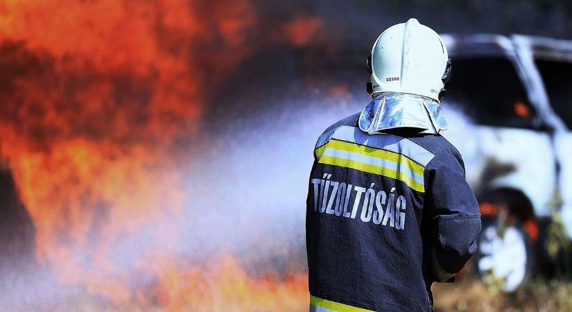 Két napig dolgoztak a tűzoltók a tompai határátkelőnél, borzalmas a szárazság - BAON