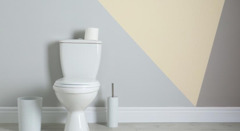 Tedd ezt a WC tartályba, és hetekig illatos lesz az egész fürdő: ezerszer jobb, mint az illatosítók - TWN