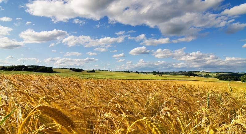 Péntektől enyhül a nagy meleg - KaposPont