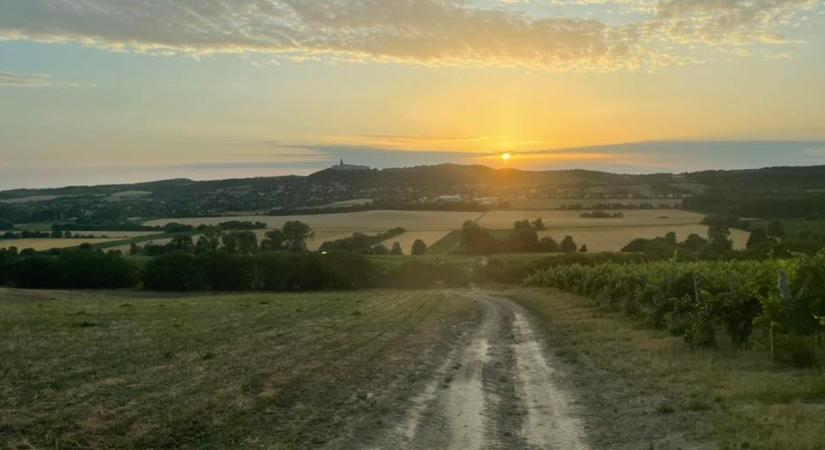 A hétvége időjárása: Nem ez a front ment meg bennünket az aszálytól! - Agroinform