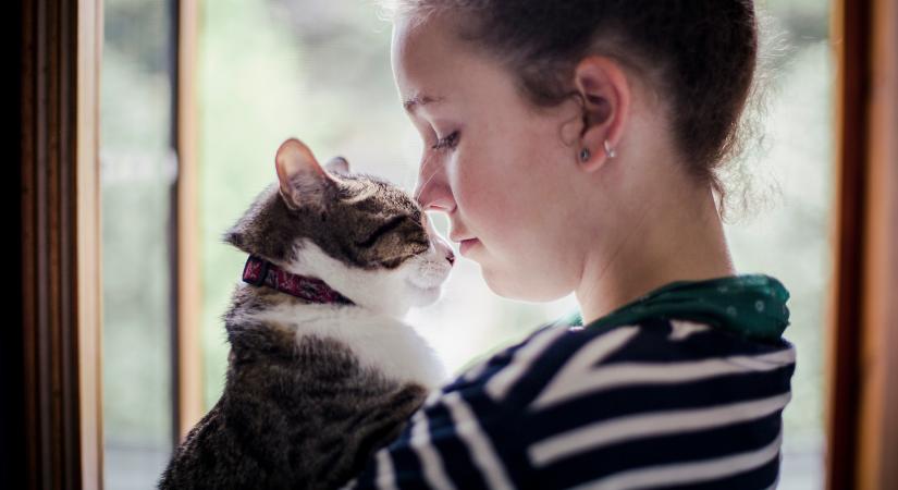 Stresszes nap után a macskák a legjobb társak: sokan inkább hozzájuk fordulnak, mint a párjukhoz - Az Én Macskám