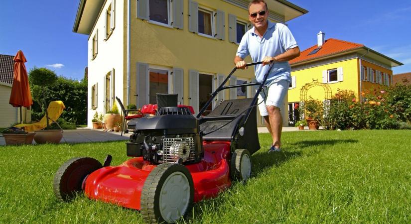 Ekkor jelentheted fel fűnyírásért a szomszédod, brutális pénzbüntetést verhetsz rá - Promotions