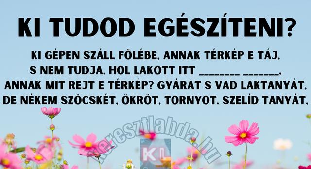 Napi irodalom feladat: Felismered a verset? - Keresztlabda
