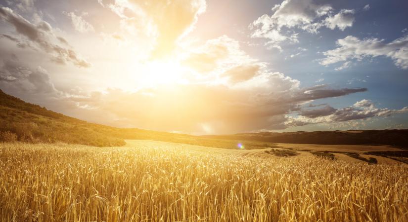 Aszályriadó: ilyen értékeket még 2022-ben sem mértek sok helyen - Agrárszektor