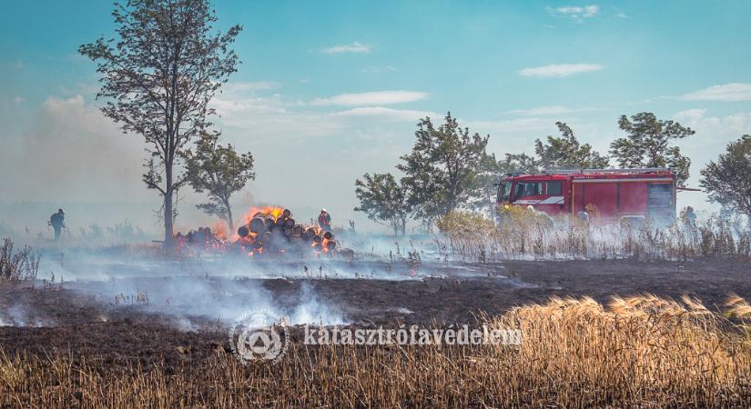 A tűzoltóknak rengeteg munkát adnak a szabadtéri tüzek - Szolnoki Napló