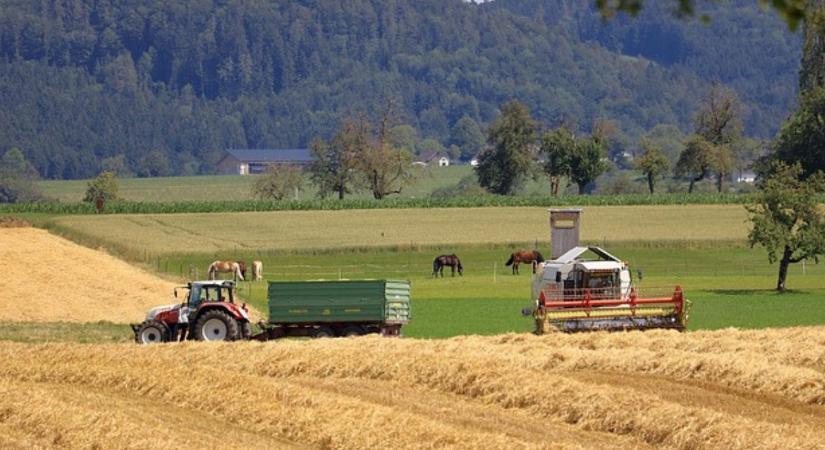 Több milliárd forint támogatás jön a hazai kisvállalkozásoknak - Agroinform