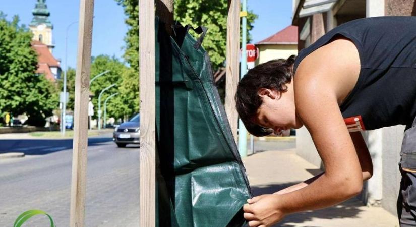 Furcsa zsákok jelennek meg a fákon Szolnokon – nem is gondolnánk, hogy azoknak életmentő szerepük van - Szoljon