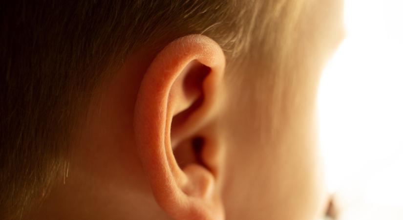 A világon az elsők között kapott okos cochleáris implantátumot egy szegedi kisfiú - Babaszoba