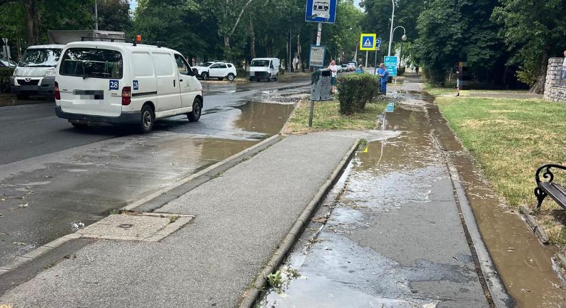 Durva csőtörés volt az Építők útján, ömlött a víz (VIDEÓ) - Bama