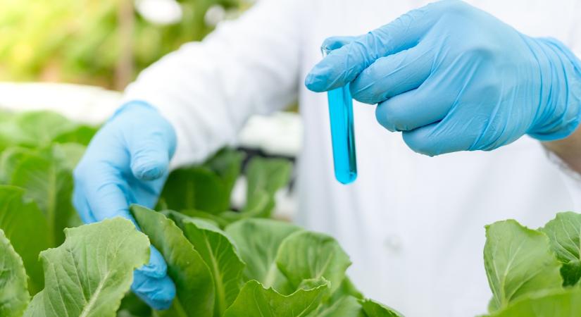 Gyümölcs, zöldség, gabona – hol lépte át a növényvédőszer-maradék a határértéket? - Agroinform