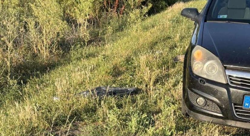 Egy fiatal pár vette észre, hogy megmozdult valami a főút mellett heverő óriási fekete zsákban - Szoljon