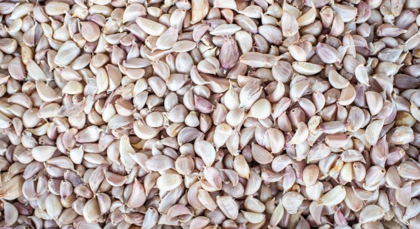 Mindent elnyom a kínai fokhagyma: teljesen elsöpri a piacokat - Agrárszektor